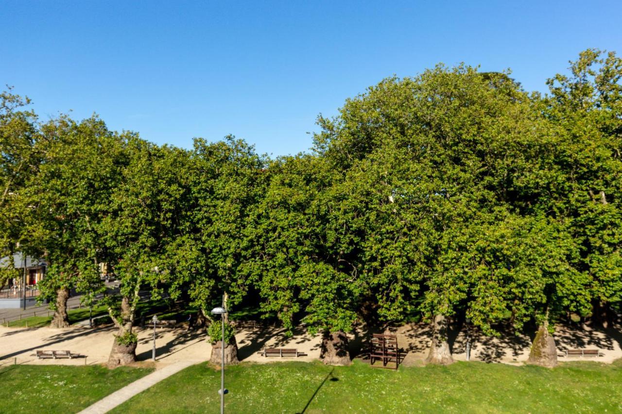Tripas-Coracao, Cordoaria River View, Garden View Or Loft Porto Exterior foto
